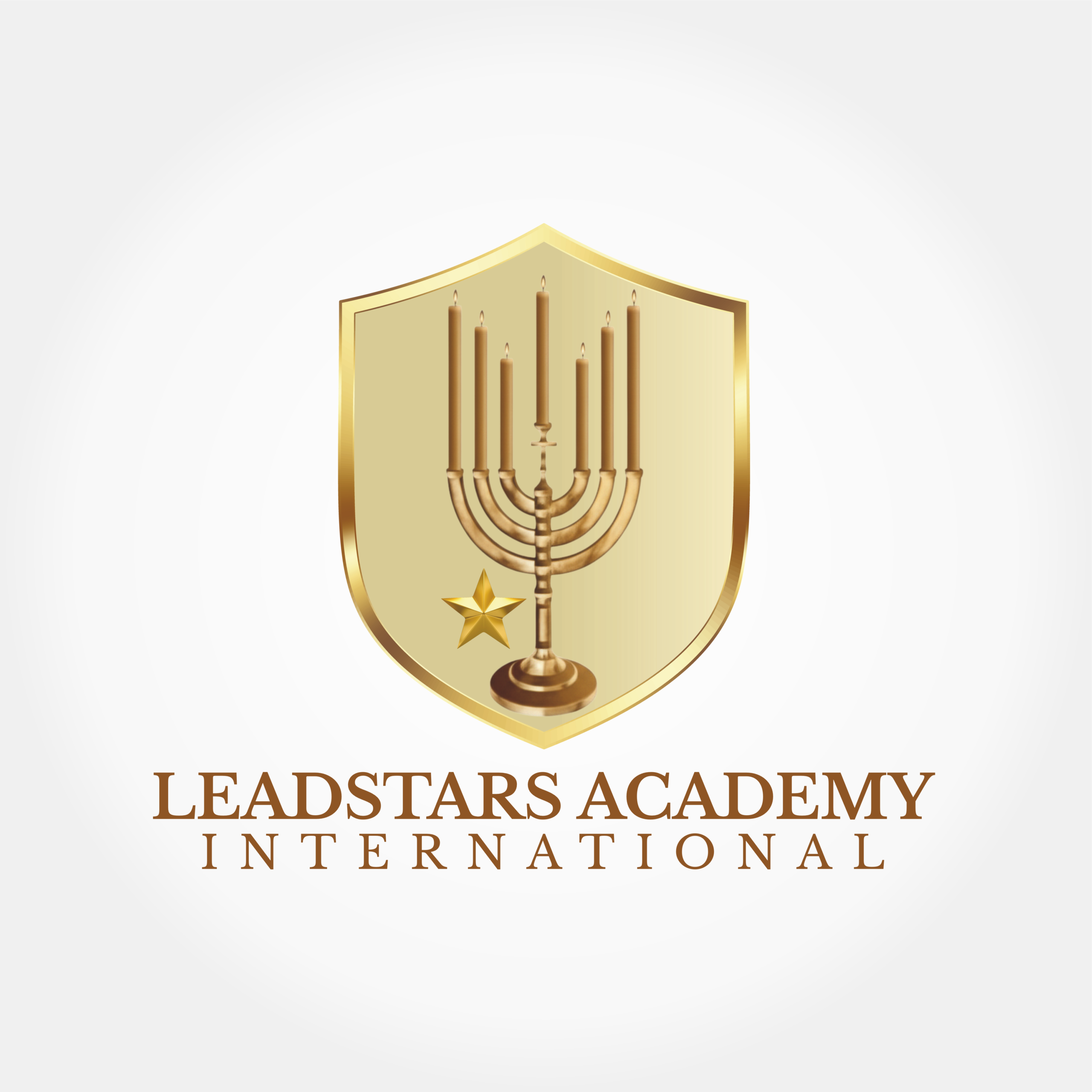 leadstars logo 2 leadstars logo 2